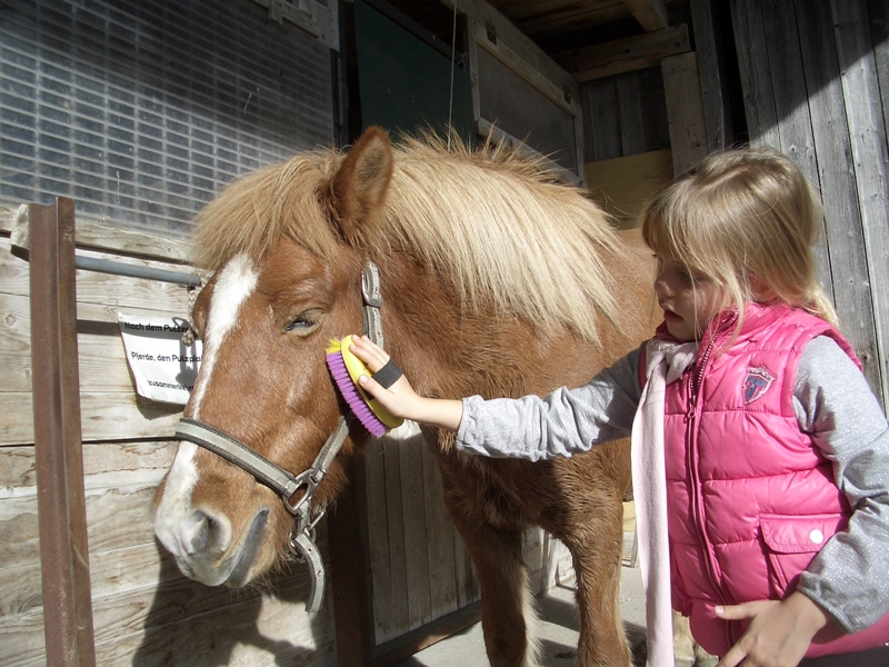 Pony-Zwerge - Reiten für Kinder ab 4 Jahren | Sabine Erndl * Pferd und ...